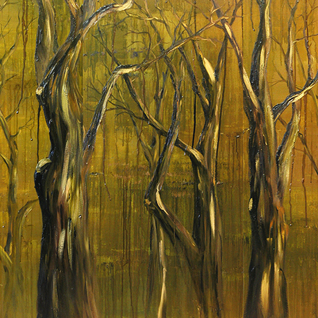 Forest oil on canvas